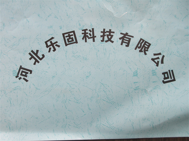 Hebei Legu Technology Co., Ltd. Snapback Caps
