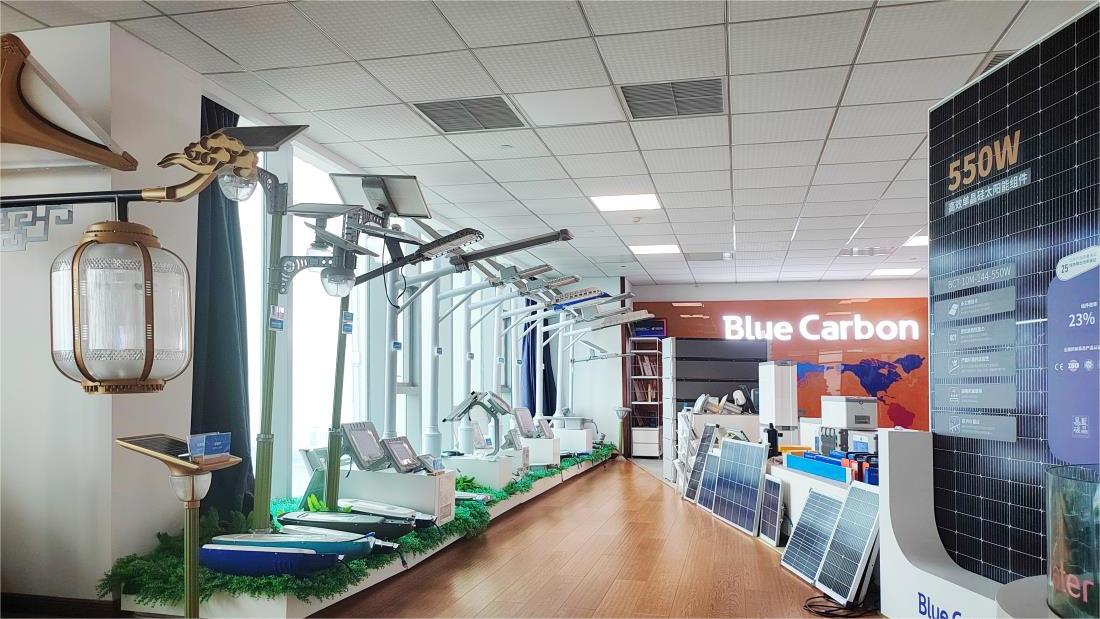 Blue Carbon Technology Inc. Solar Panels