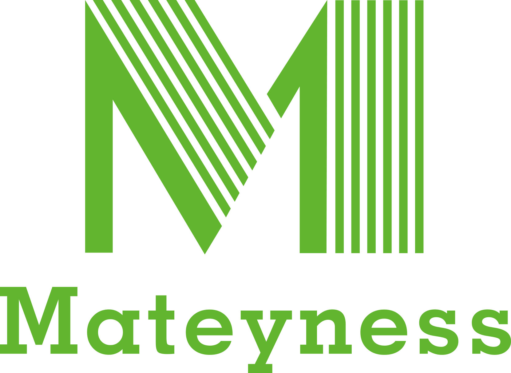 Ningbo Mateyness Household Co., Ltd. logo