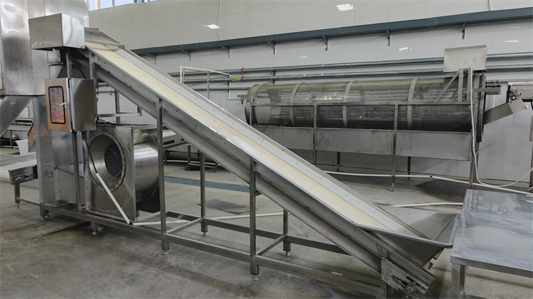 Xiamen Sharp Dragon International Trading Co.,Ltd IQF Vegetables