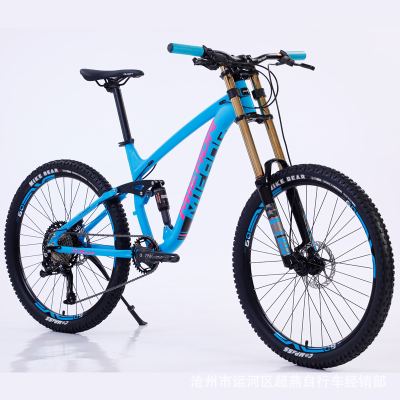 Suzhou Dolphin Medical Technology Co., Ltd. Mountain Bike Bicycle Variable Speed Shocking Absorption Aluminum Alloy for Adult 26 27.5 Inch 11 Speed Customized Logo 20 19