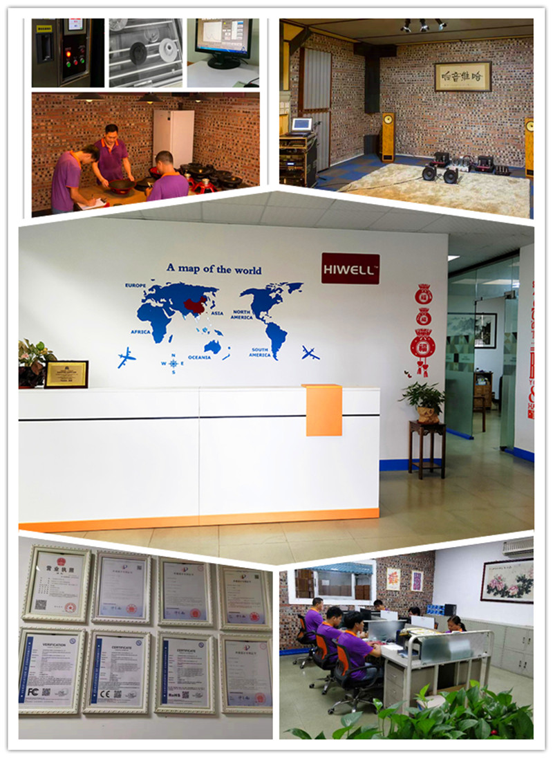 Guangzhou Panyu District Shiji Hiwell Audio Equipment Factory factory image 2