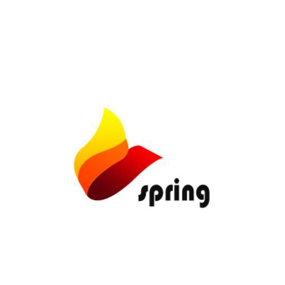Guangxi Spring Housewares Co., Ltd. logo