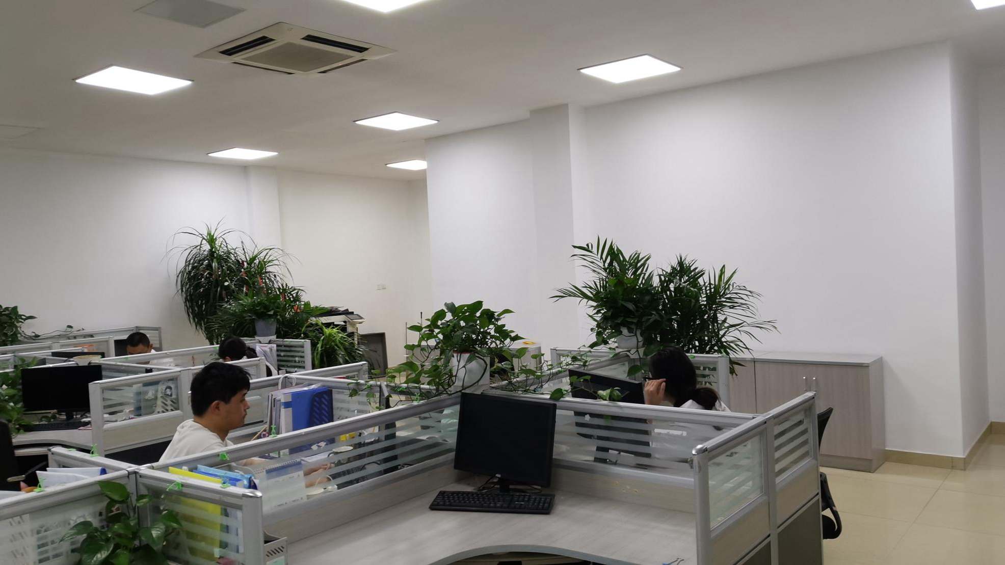 Duomei Shijia (nanjing) Information Technology Co., Ltd. Adult Diaper