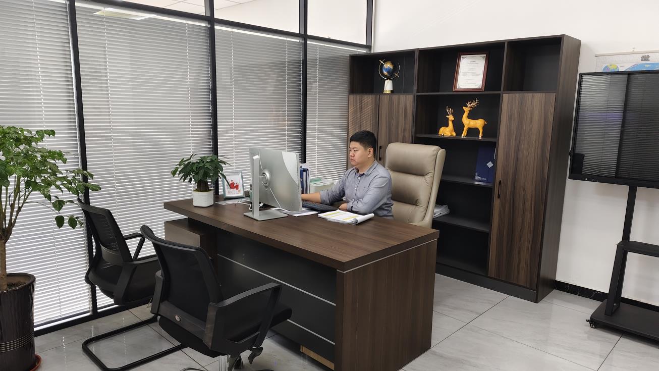 Shijiazhuang Dewo Trading Co., Ltd. Kids Ride on Car