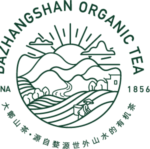 Company icon