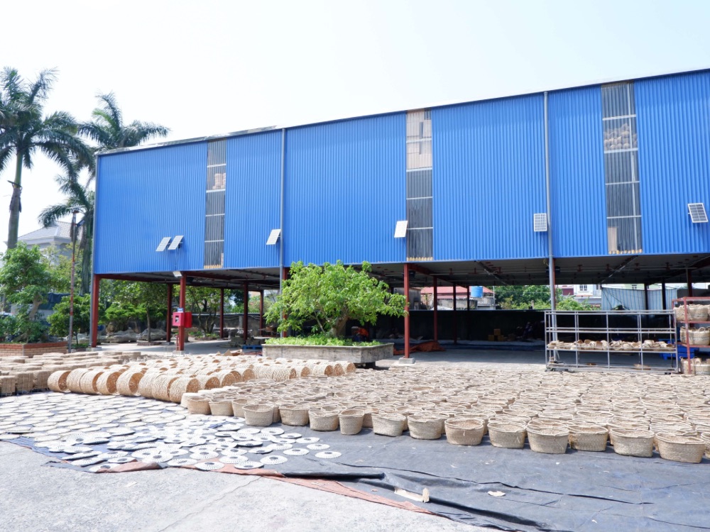Eco Farmie Export Co., Ltd. Rattan Furniture