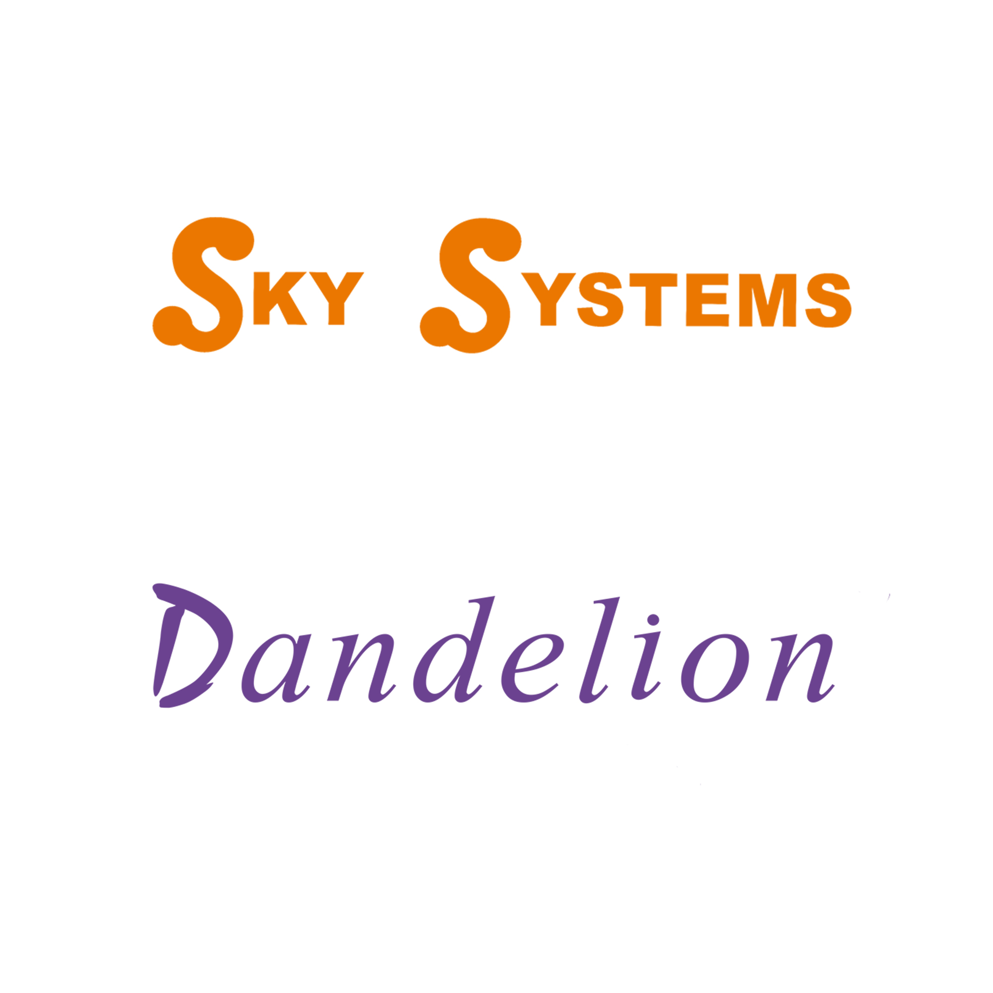 Guangzhou Sky Systems Co., Ltd. logo