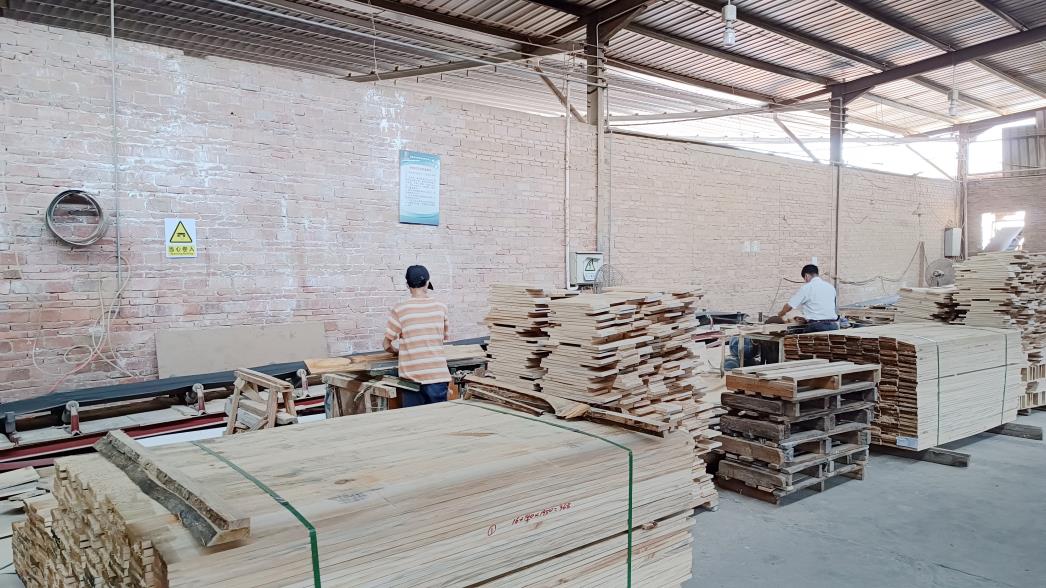 Fujian ShengMiao International Industrial Co., Ltd. factory image 2