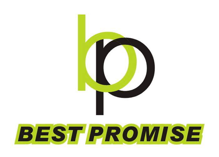 Ningbo Jiangdong Best Promise Imp. & Exp. Co., Ltd. logo