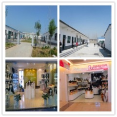 Xuchang Bliss Hair Products Co., Ltd. women's wigs