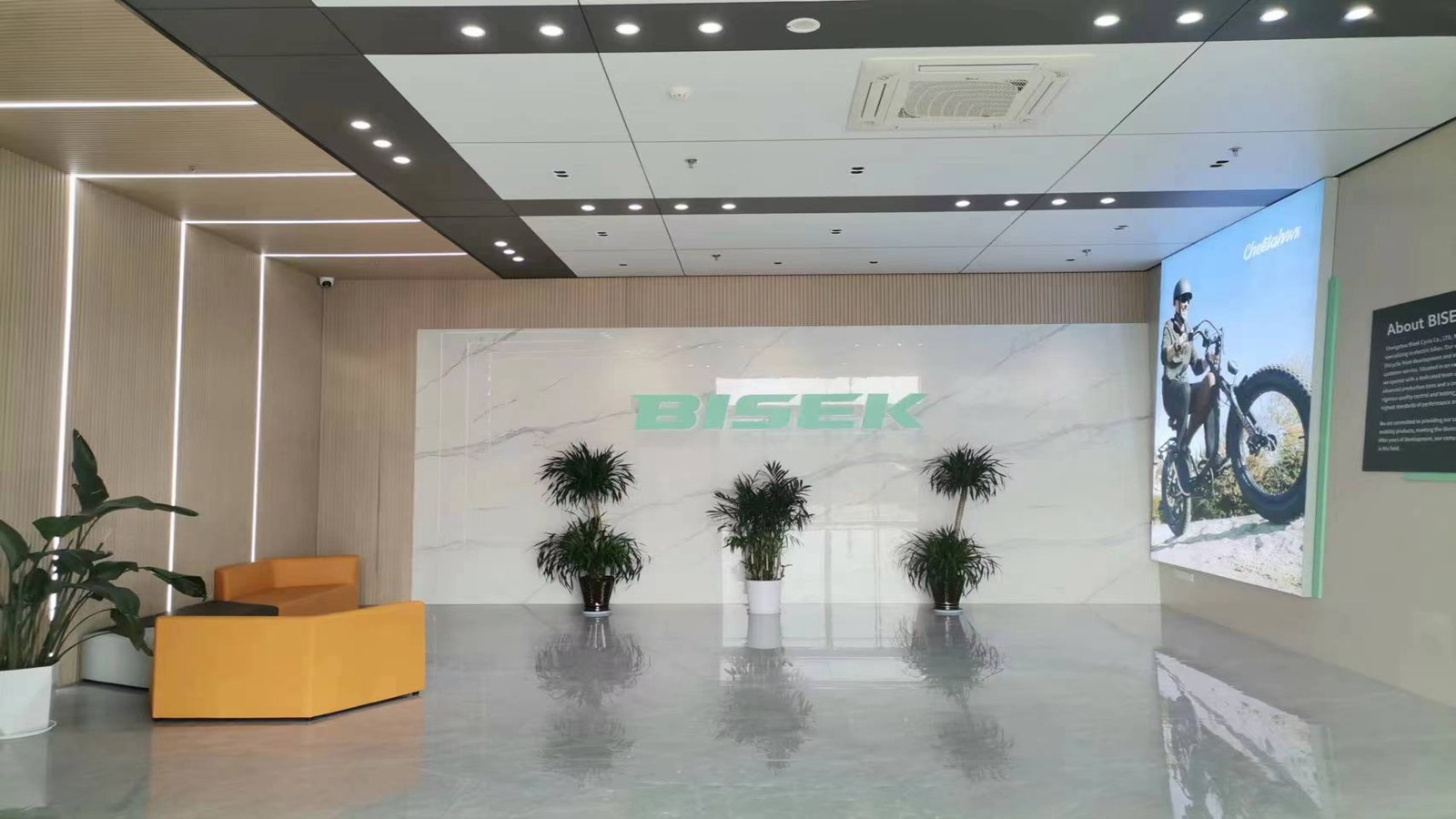 Changzhou Bisek Cycle Co., Ltd. Electric Mountain Bike