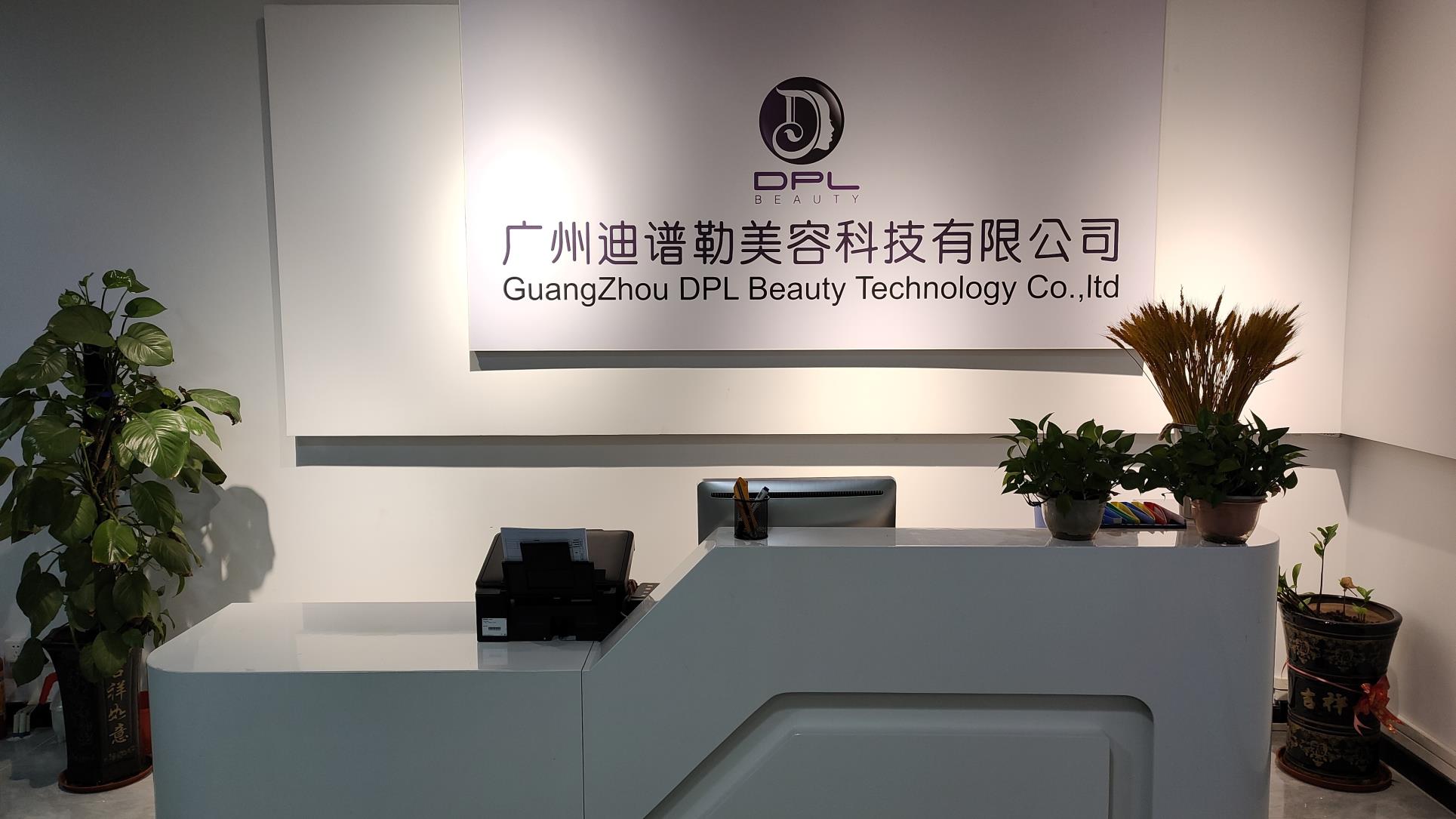 Guangzhou DPL Beauty Technology Co., Ltd. CO2 Fractional Laser Machine