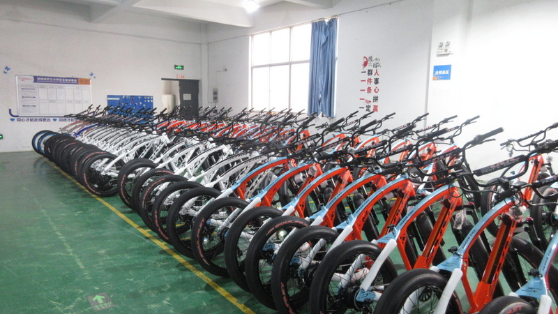 Suzhou Dynalion Technology Co., Ltd. city electric bikes