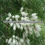 We are leading manufacturer, Exporter & Supplier of Pure Tea Tree Oil:-
1. Most Competitive Price