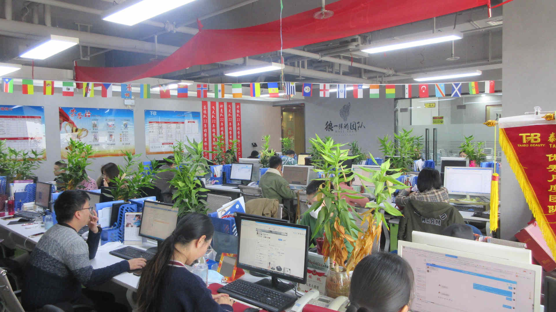 Xi'an Taibo Laser Beauty Company Q Switched ND YAG Laser