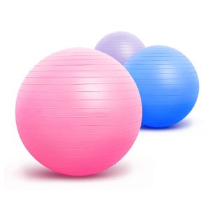 Wholesale Pilates Fitness Exercise Balance Yoga Ball Sports Equipment