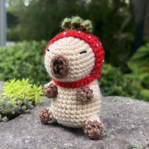 DIY Yarn Art and Craft Crochet Capybara with Vivid Instruction Craft Kit For Children and Adults