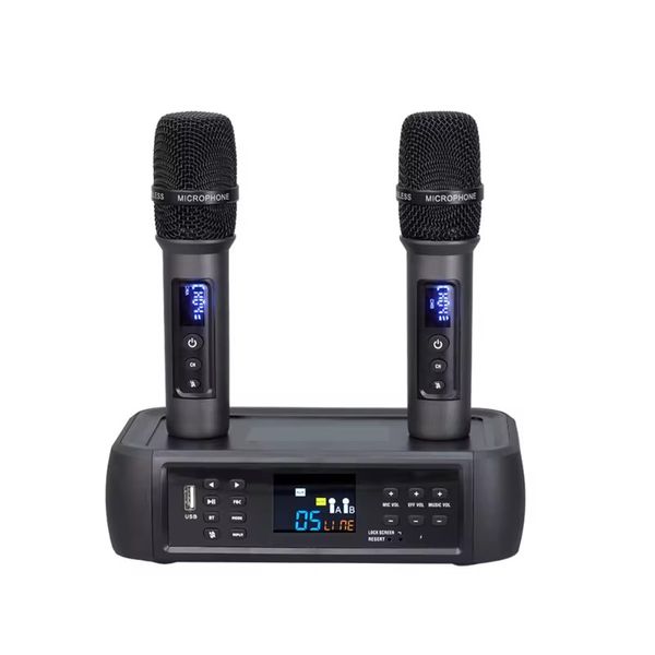 Anti Howling Singing Multi Channel DSP Microphone with Optical  Professional Echo Microphone Karaoke with Optical for Smart
