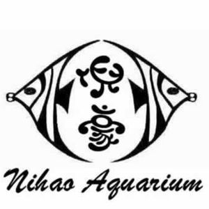 Company icon