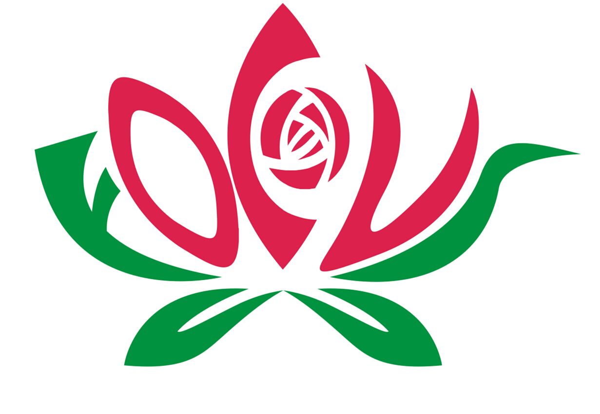 Yunnan Focus Flower Planting Co., Ltd. logo