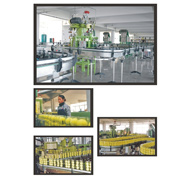 Zhejiang Tianlong Group Co., Ltd. Tennis Racket