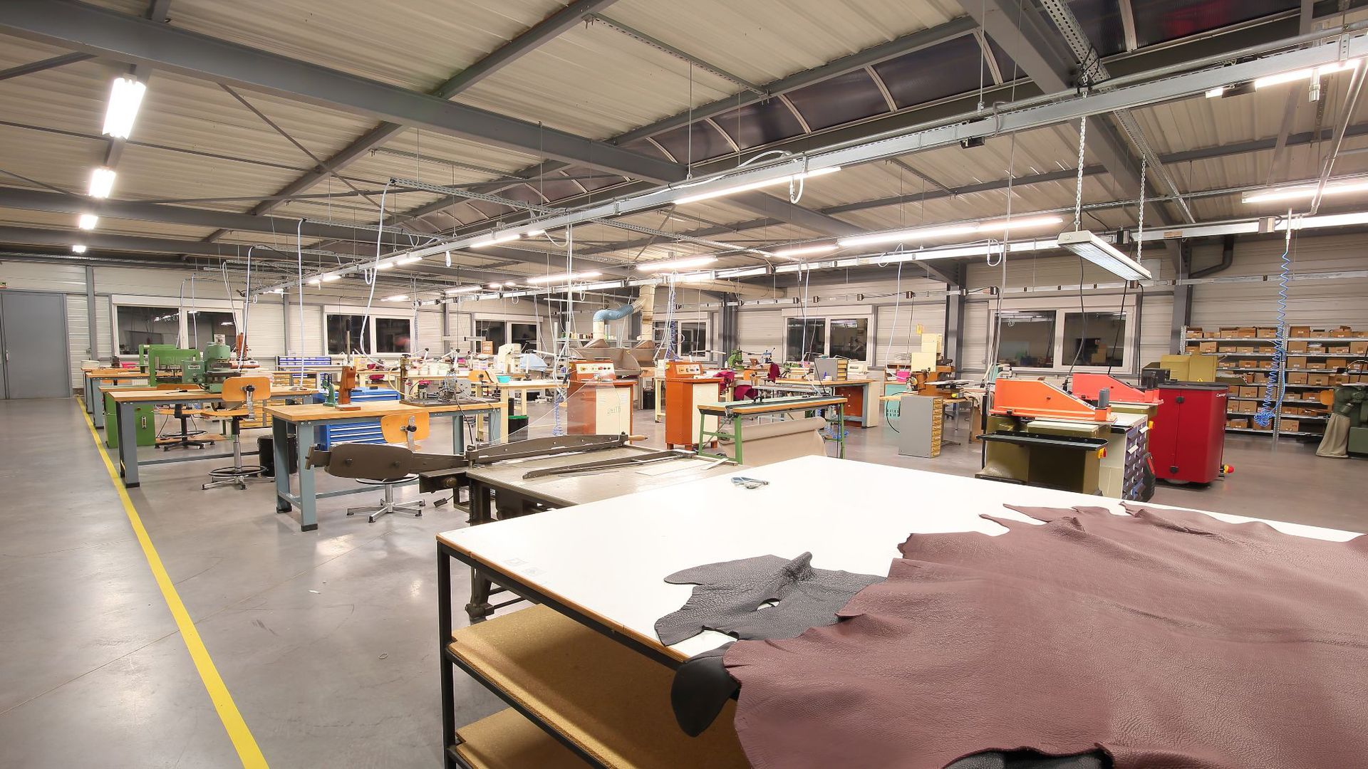 Guangdong Guoniu Leather Co., Ltd. factory image 1