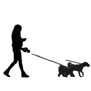 2 in 1 Double Headed Tactical Nylon Pet Dog Leash with Reflective Frog Clip Durable Print Pattern Matching Collar for Large Dogs