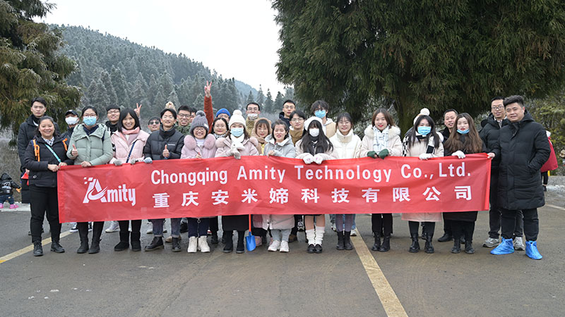 Chongqing Amity Technology Co., Ltd Electric Vehicles
