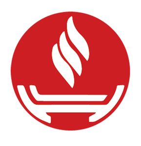 Company icon