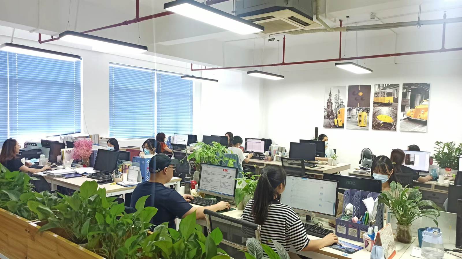 SHENZHEN BOHANG LOGISTICS CO., LTD. sea freight