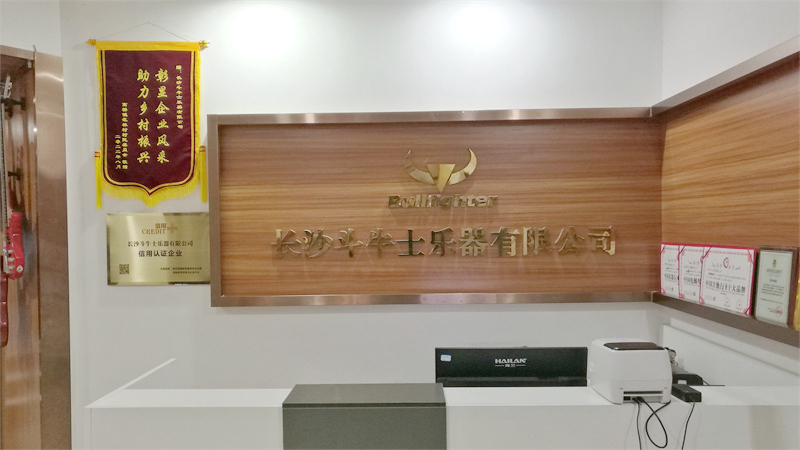 Changsha Bullfighter Musical Instrument Co., Ltd. factory image 2