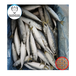 Factory made premium frozen Atlantic mackerel whole IQF seafood ingredients mackerel frozen