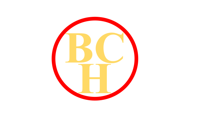 Hunan Bochlun Industrial Co.,ltd logo