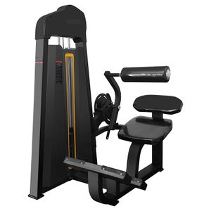 Customized Logo High Strength Gym Commercial Fitness Back Extension Back Extension Bench
