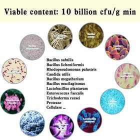 Biological organic fertilizer from Bio in China