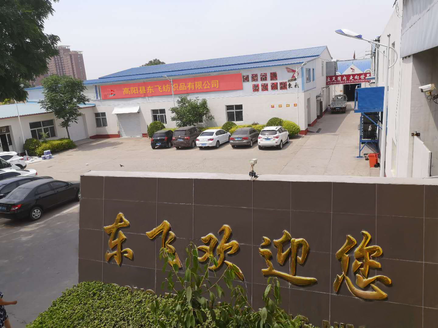 Gaoyang Dongfei Textiles Co., Ltd. Hand Towel