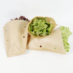 Fresh and Organic Hydroponic Lettuce Basil for Packaging - Hydroponic Farming at Its Finest Sleeves