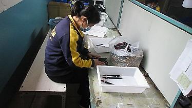 Jiangxi Yihuale Pen Industry Co., Ltd. Watercolor Brush
