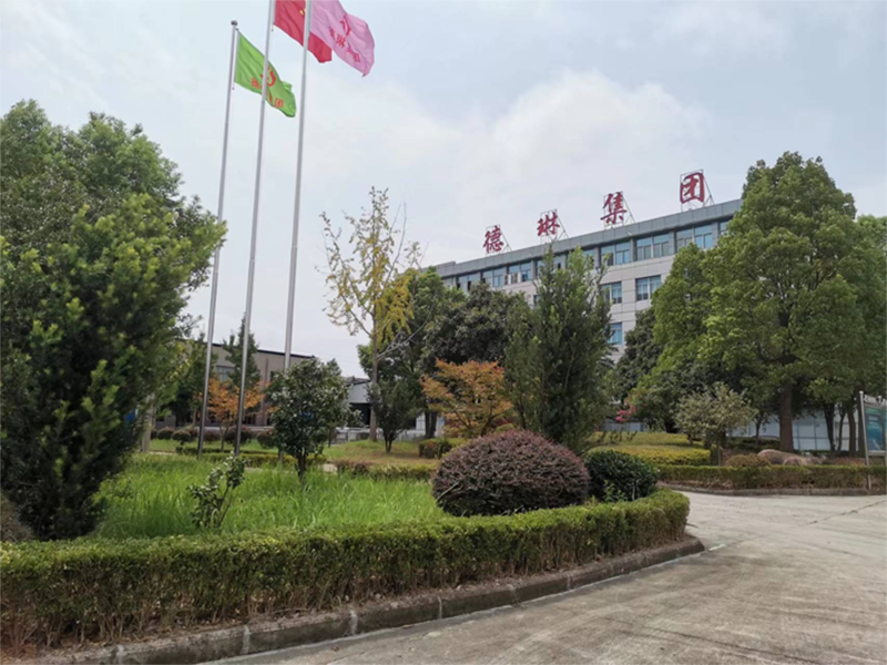 Anhui Delin Environmental Protection Development (Group) Co., Ltd. Disposable Food Containers