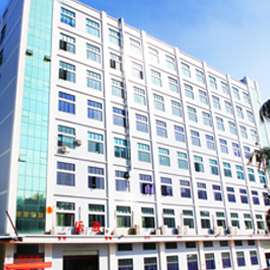 Dongguan Loyfun Industrial Co., Ltd. Computer peripheral devices