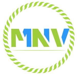 Company icon