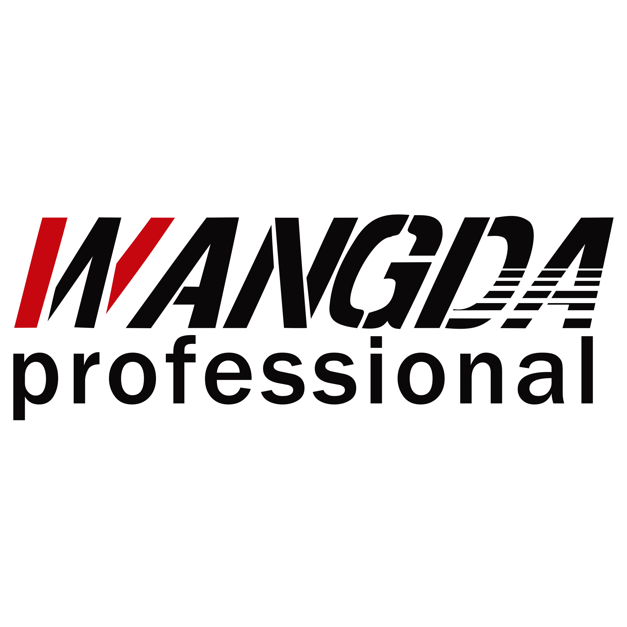Guangzhou Wangda Co., Ltd. logo