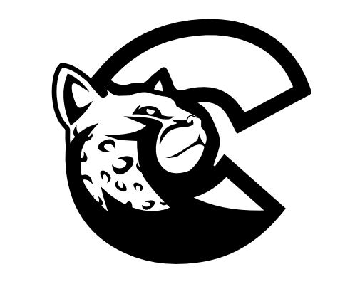 Nanchang Speed Sporting Goods Co., Ltd. logo