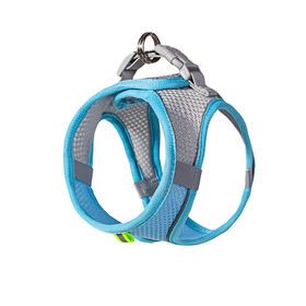Kitten Puppy Reflective Cheap Breathable Mesh Blue Pink Orange Lightweight Cat Dog Harness Leash
