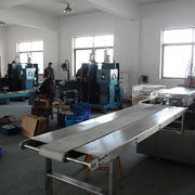 Shenzhen LuoX Electric Co., Ltd. Iridium Spark Plugs