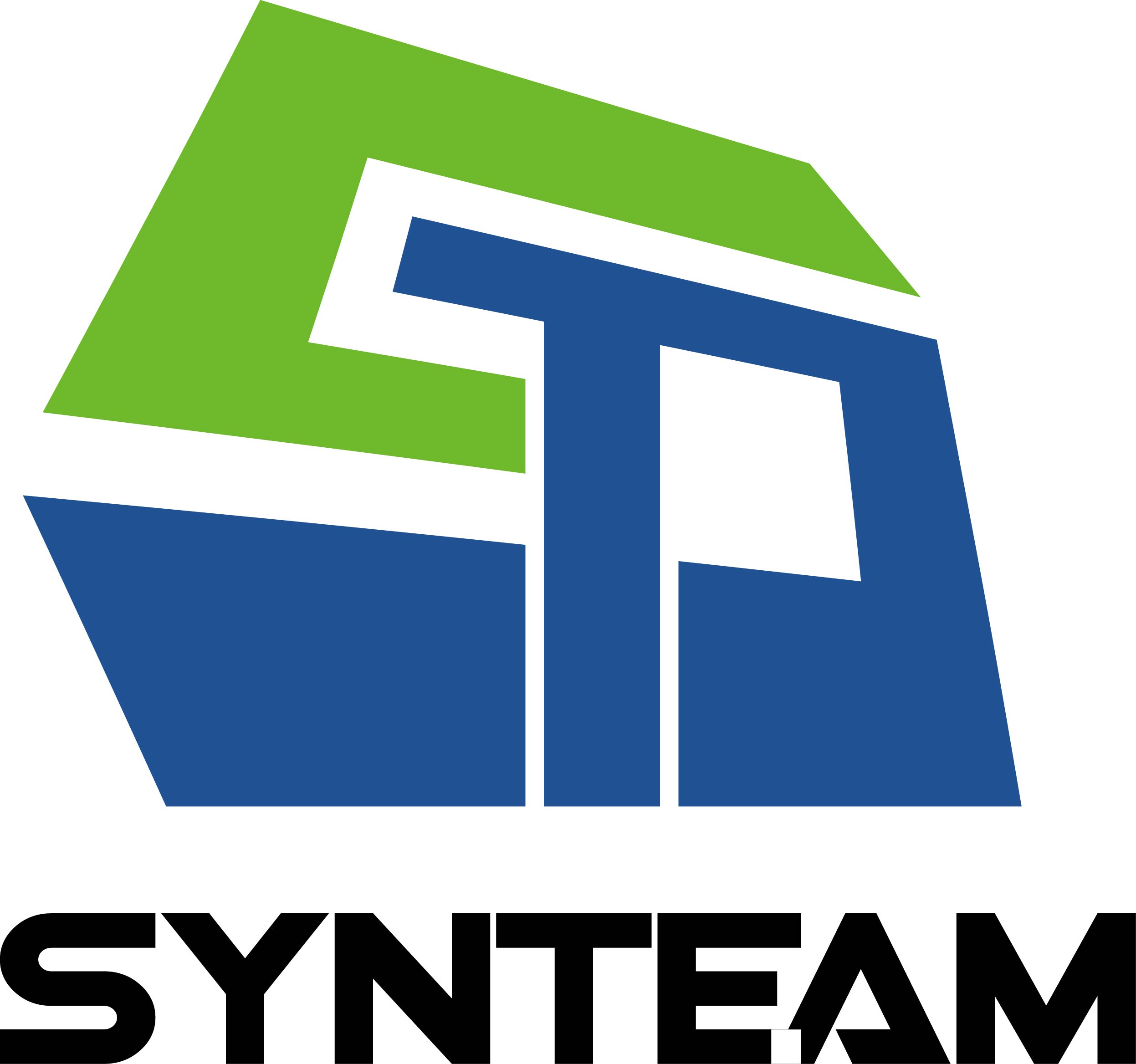 Yongkang Synteam Science & Technology Co., Ltd. logo