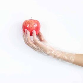 Clear Color Plastic Polythene Kitchen Waterproof Disposable PE Gloves
