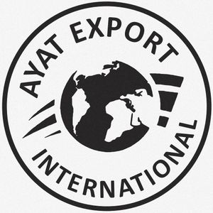 Company icon