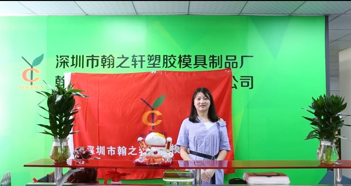 Shenzhen Hoersun Plastics & Molding Factory Plastic Housewares